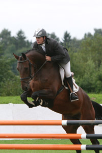 ANKA v. Abke x Graf Grannus - bestes 4-jähriges Mecklenburger Springpferd. Foto: Wego